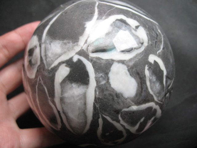 TITAN 110mm OCEAN SHELL FOSSILSTONE CRYSTAL SPHERE BALL  