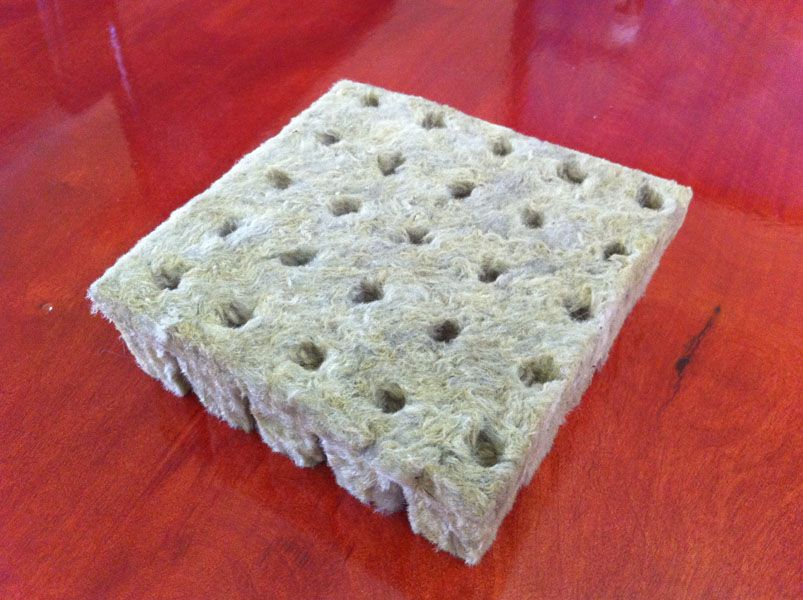 25)   1 Hydroponic Rockwool Cubes + FREE eBook  