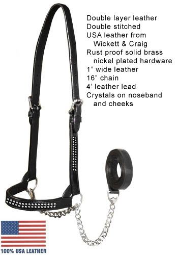 Crystal USA Leather Cattle Show Halter w/Lead HV Heifer  