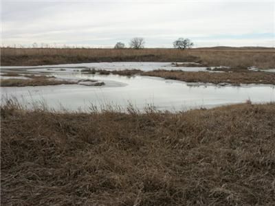   DRYLAND FARM RANCH PROPERTY LIVE CREEK DEER GEESE DUCK PHEASAN  