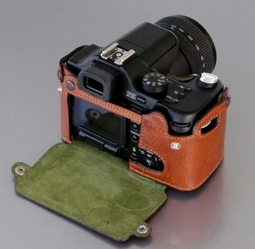 LUIGIs CASE FOR THE LEICA V LUX,A VERY TECHNICAL CASE  