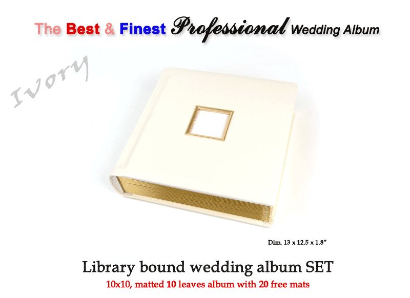 VeniceProfessional wedding album (10x10, 10L, Ivory)  