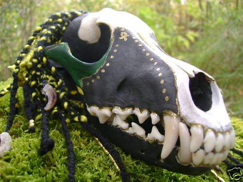 Anubis painted Coyote skull  