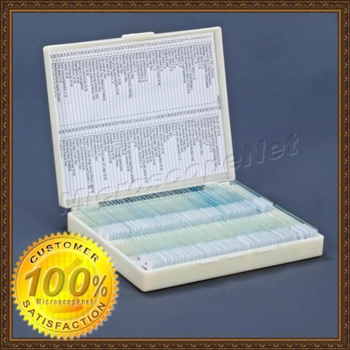 100 Prepared Basic Science Microscope Slides Set B +Box  