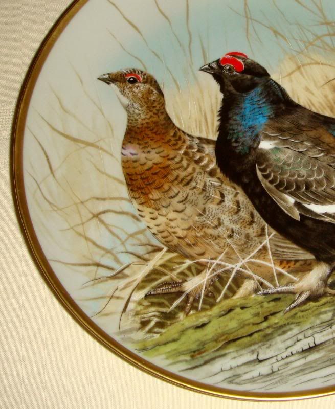 Basil Ede Game Birds Of The World BLACK GROUSE Plate  