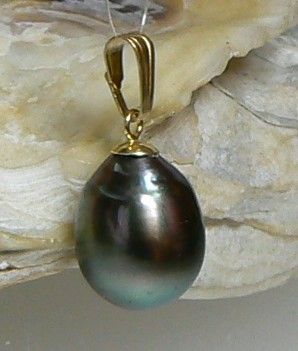 13.5mm BLACK TAHITIAN SOUTH SEA PEARL PENDANT 14K GOLD  