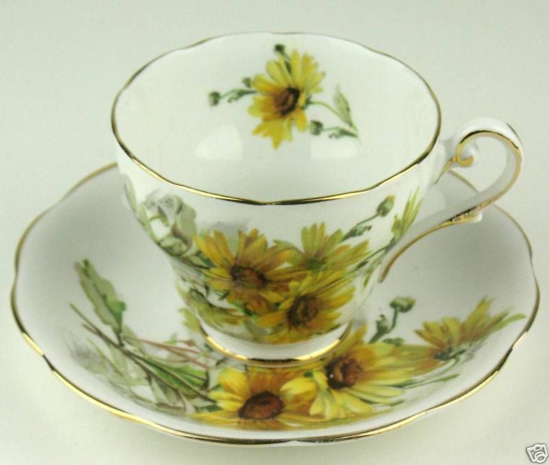 TEACUP & SAUCER Royal Standard England BROWN EYED SUSAN  