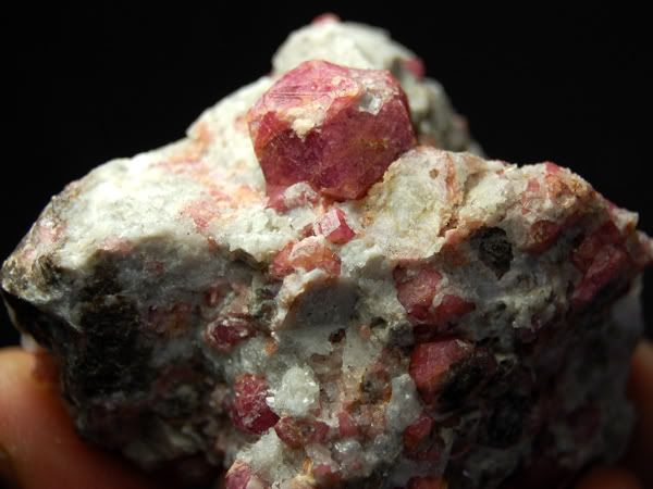 Pink Grossular Garnet on Matrix, Coahuila, Mexico G325  