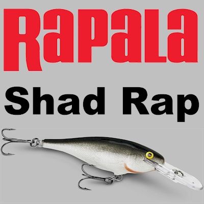 Rapala Shad Rap ~ Crankbait  