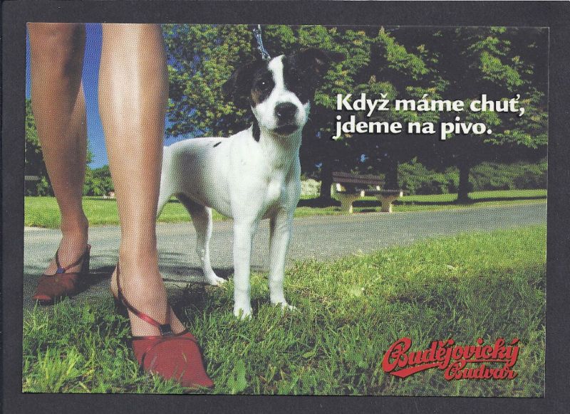 BUDEJOVICKY BUDVAR BEER * CZECH REPUBLIC *  