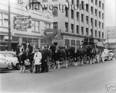 MISSOULA MONTANA BUDWEISER TEAM AT HIGGINS & E BROADWAY  