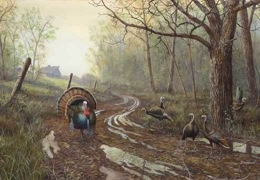 Jim Hansel Wild Turkey Print SPRING FEVER  