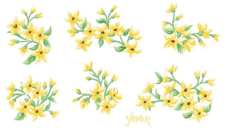 Tatouage Yellow Jasmine Flowers 2 sheets Rub On Mural  