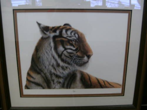 FARNSWORTH   BENGAL TIGER  1975 SIGNED WITH LETTER AND FRAMED 