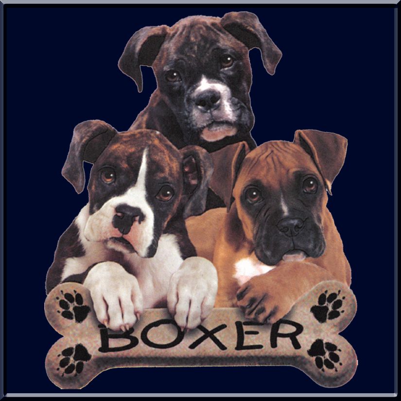 Boxer Puppies Bone Uncropped Dog T Shirt S 2X,3X,4X,5X  