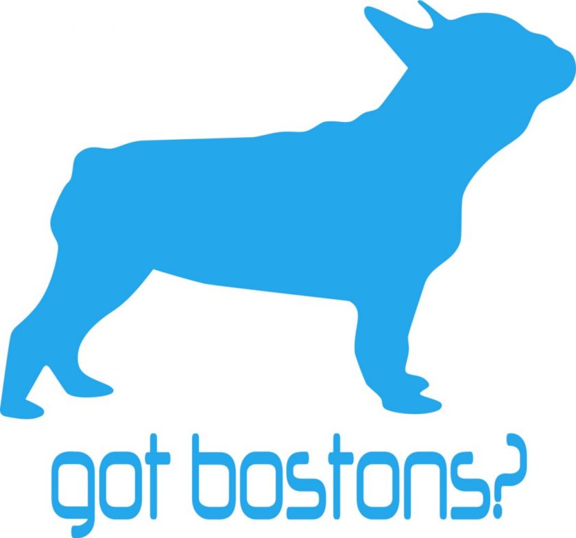 Got Bostons? Boston Terrier Dog Vinyl Decal  