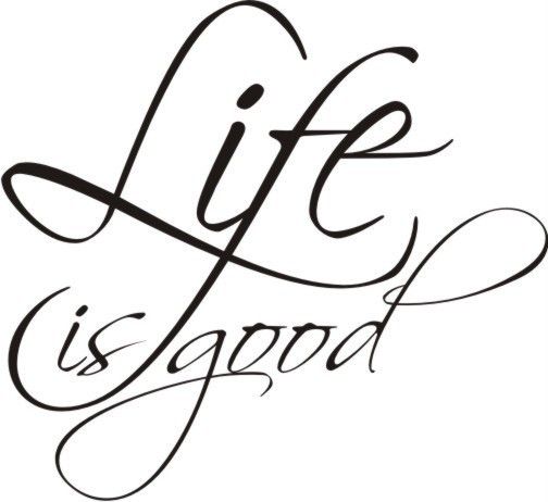 Life Is Good Wall Art Vinyl Decal Sticker  