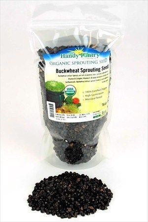 LBS   ORGANIC WHOLE (SHELL ON) BUCKWHEAT SEEDS  GROW BUCK WHEAT 