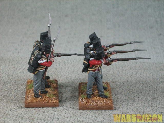 28mm Napoleonic WDS Pro painted British Infantry w92  