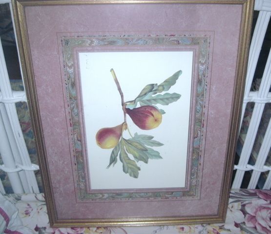 Vintage GOLD Wood Framed w Glass PEARS BOTANICAL Print  