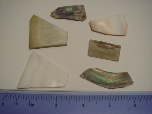 MIXED SOLID CUT ABALONE, MOP, & RIVER PEARL SHELL #317  